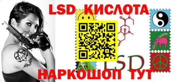 крисы Аргун