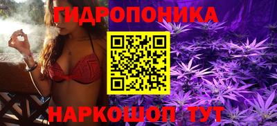 крисы Аргун