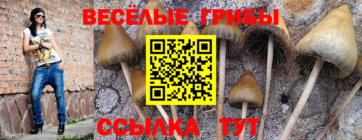 Будённовск  купить наркотики сайты  Вход с VPN  Галлюциногенные грибы ЛСД  Галлюциногенные грибы мухоморы 